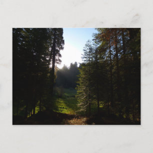 Carte Postale Le matin de la prairie du croissant dans le parc n