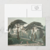 Carte Postale Le Maze ou le Belvédère du Jardin des (Devant / Derrière)