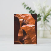 Carte Postale Le Maze -postcardcopy (Debout devant)