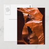 Carte Postale Le Maze -postcardcopy (Devant / Derrière)