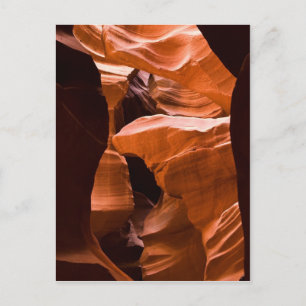 Carte Postale Le Maze -postcardcopy