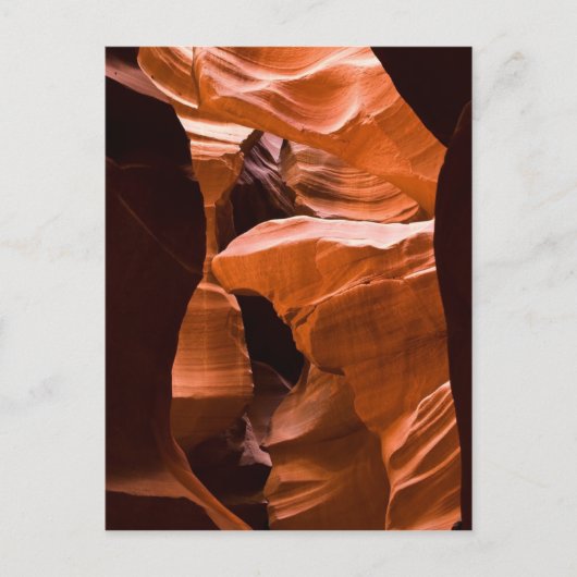 Carte Postale Le Maze -postcardcopy (Devant)