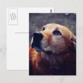 Carte Postale Le meilleur ami de l'homme (Devant / Derrière)