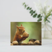 Carte Postale Le meilleur du Bunch (Debout devant)