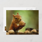 Carte Postale Le meilleur du Bunch (Devant / Derrière)