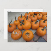 Carte Postale Le Mess Des Citrouilles (Devant / Derrière)