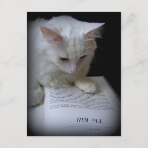 Carte Postale Le meurtre