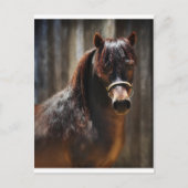 Carte Postale Le Mini Stallion (Devant)
