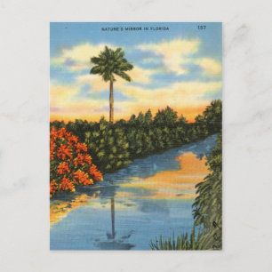 Carte Postale Le miroir de la nature en Floride