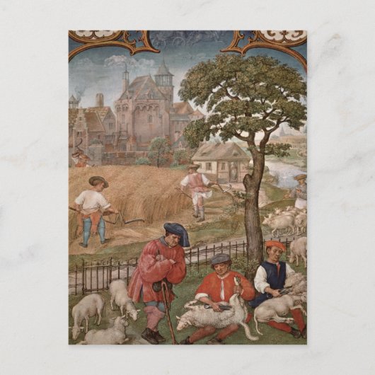 Carte Postale Le mois de juillet (Devant)