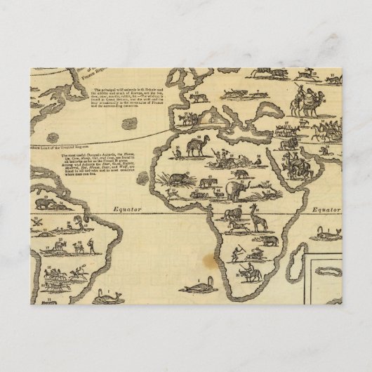 Carte Postale Le monde des animaux (Devant)