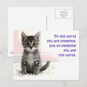 Carte Postale Le monde des chatons (Devant / Derrière)