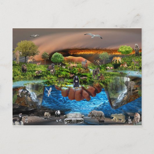 Carte Postale Le monde entier dans des nos mains (Devant)