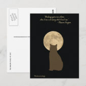 Carte Postale Le monde extraordinaire des chats : chat regardant (Devant / Derrière)