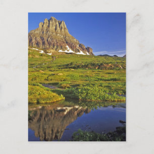 Carte Postale Le mont Clements se reflète dans une petite mare à