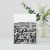 Carte Postale Le mont des Oliviers à Jérusalem (Debout devant)