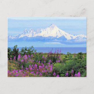 Carte Postale Le mont Iliamna en Alaska