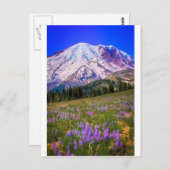 Carte Postale Le mont Rainier (Devant / Derrière)