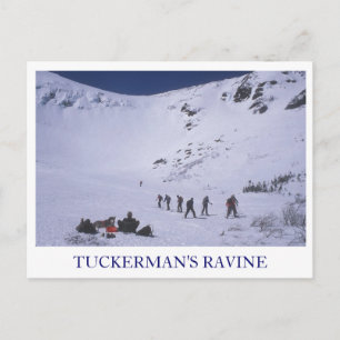 Carte Postale Le mont Ravine de Tuckerman Washington