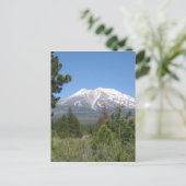 Carte Postale Le mont Shasta Californie (Debout devant)