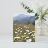 Carte Postale Le Mont St. Helens (Debout devant)