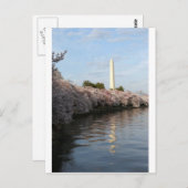 Carte Postale Le monument de Cherry Blossom Washington (Devant / Derrière)