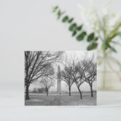 Carte Postale Le monument de Washington (Debout devant)