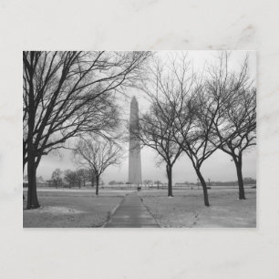 Carte Postale Le monument de Washington