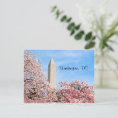 Carte Postale Le monument de Washington (Debout devant)