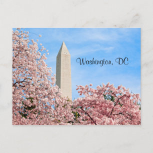 Carte Postale Le monument de Washington