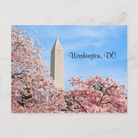 Carte Postale Le monument de Washington (Devant)