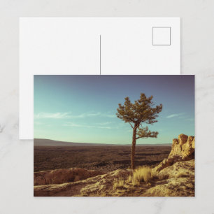 Carte Postale Le Monument national d'El Malpais