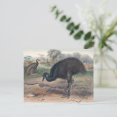 Carte Postale Le Mooruk par Joseph Wolf (Debout devant)