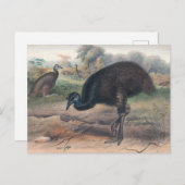 Carte Postale Le Mooruk par Joseph Wolf (Devant / Derrière)