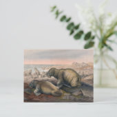 Carte Postale Le morse par Joseph Wolf (Debout devant)