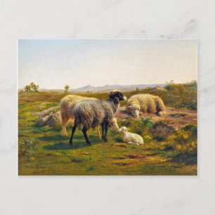 Carte Postale Le mouton et l'agneau de Rosa Bonheur