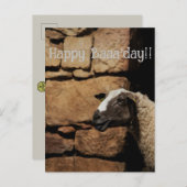 Carte Postale Le mouton, Joyeux Baaaanniversaire !  (Devant / Derrière)