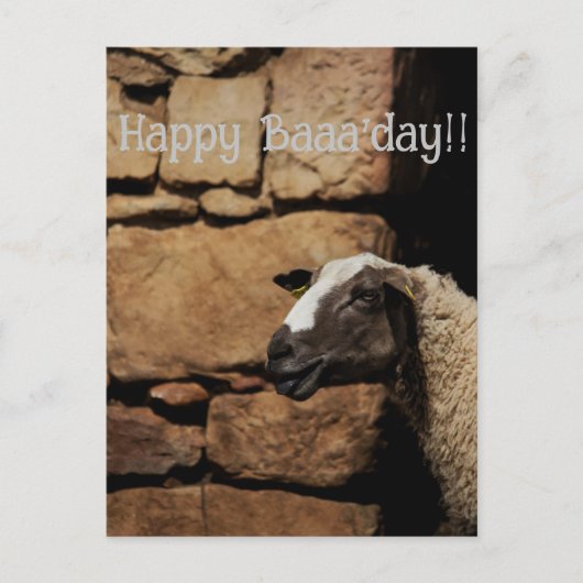 Carte Postale Le mouton, Joyeux Baaaanniversaire !  (Devant)
