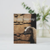 Carte Postale Le mouton, Joyeux Baaaanniversaire !  (Debout devant)