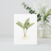 Carte Postale Le muguet (majalis de Convallaria) par Redouté (Debout devant)