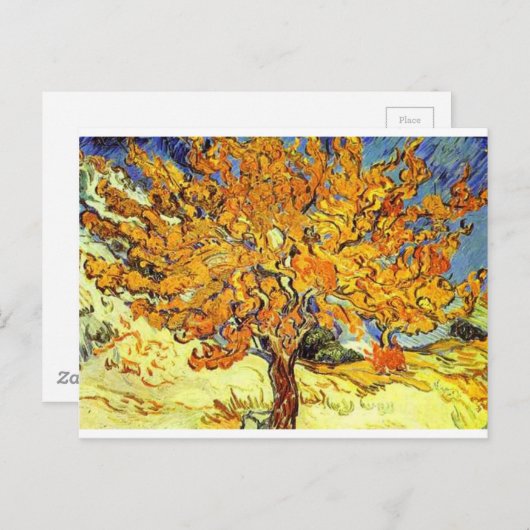 Carte Postale Le Mulberry Tree, Vincent Van Gogh (Devant / Derrière)