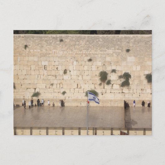 Carte Postale Le Mur Occidental (Kotel), Jérusalem (Devant)
