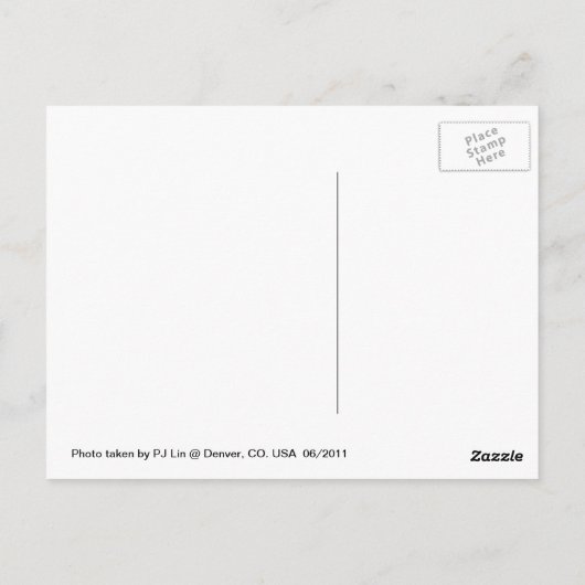 Carte Postale Le musée d'art de Denver (Dos)