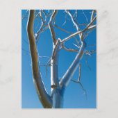 Carte Postale Le musée d'art Saint-Louis (Devant)