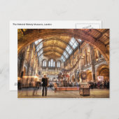 Carte Postale Le Natural History Museum, Londres (Devant / Derrière)