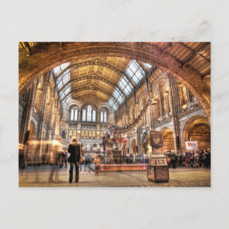 Carte Postale Le Natural History Museum, Londres