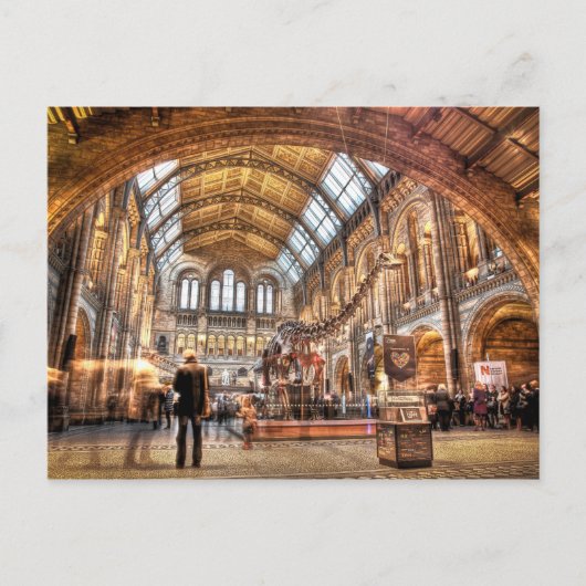 Carte Postale Le Natural History Museum, Londres (Devant)