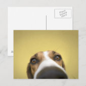 Carte Postale le nettoyeur de lentilles (Devant / Derrière)