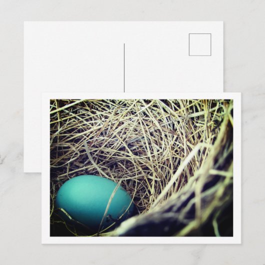 Carte Postale Le nid de Robin | (Devant / Derrière)