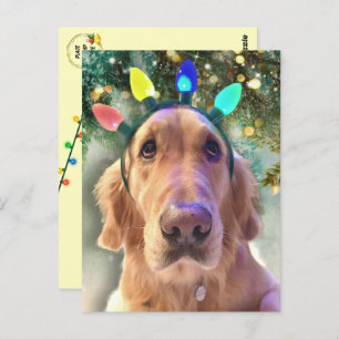 Carte Postale Le Noël du Golden Retriever de Nova